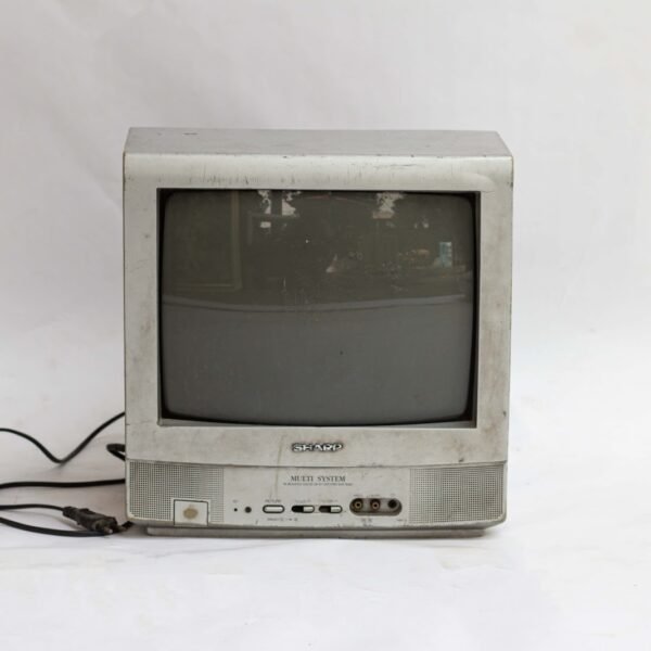 Sharp multi system TV