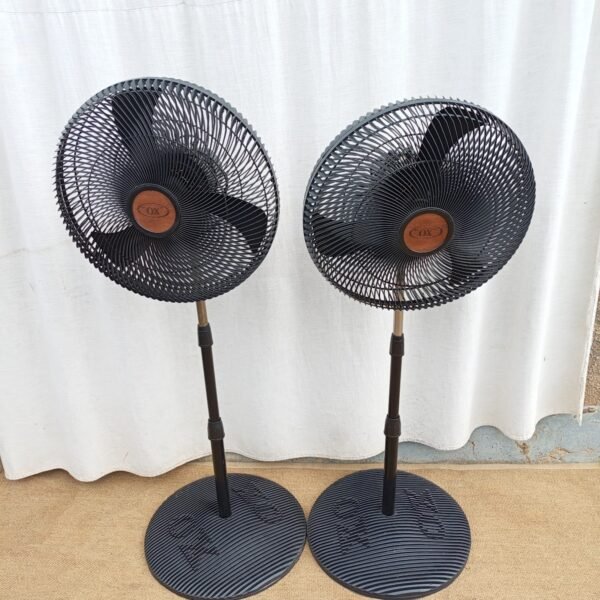 Standing Fan