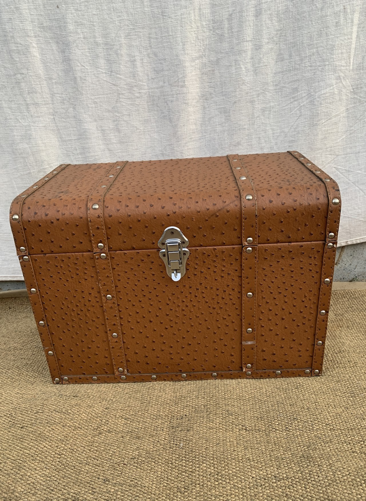 Trunk Trunk