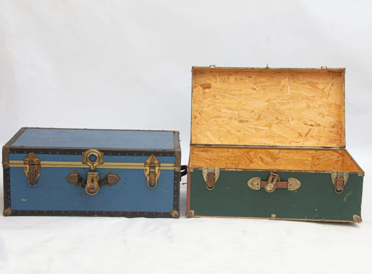 Trunk and Chest Trunk and Chest - Image 1