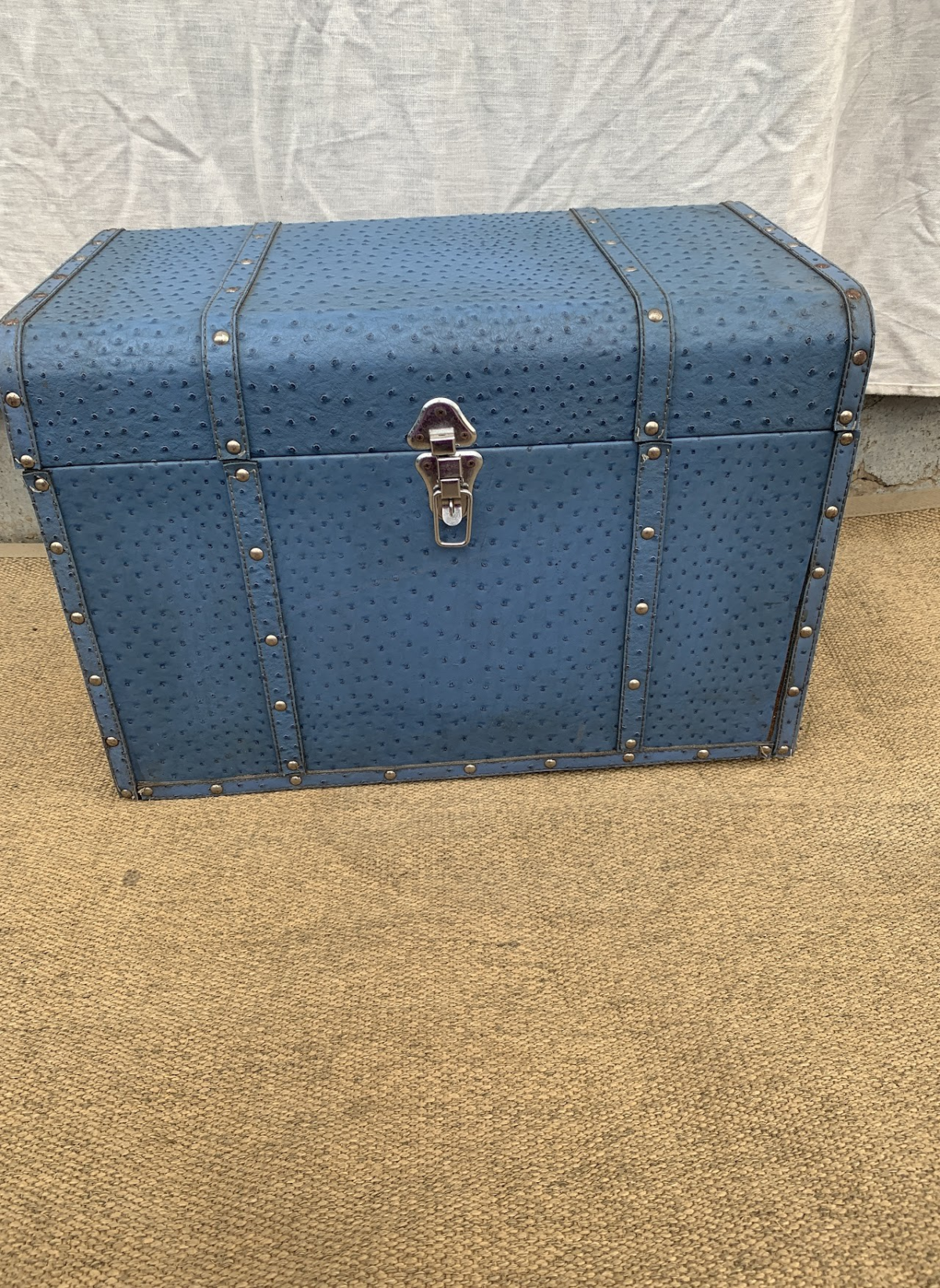 trunk Trunk