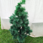 Pine christmas tree