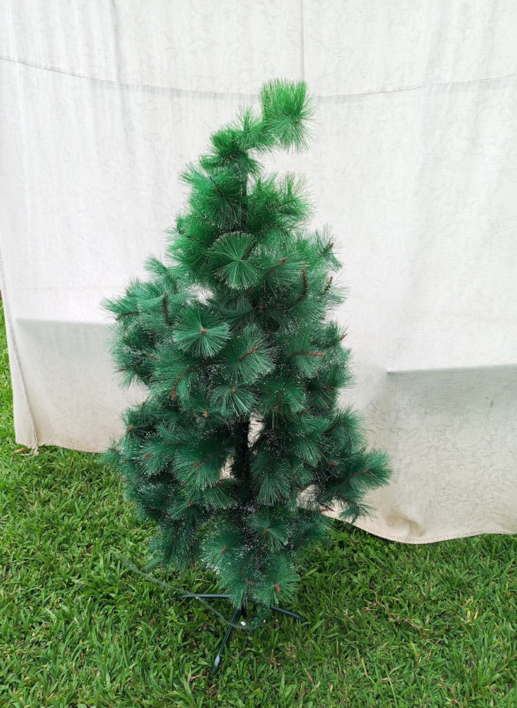 Pine christmas tree