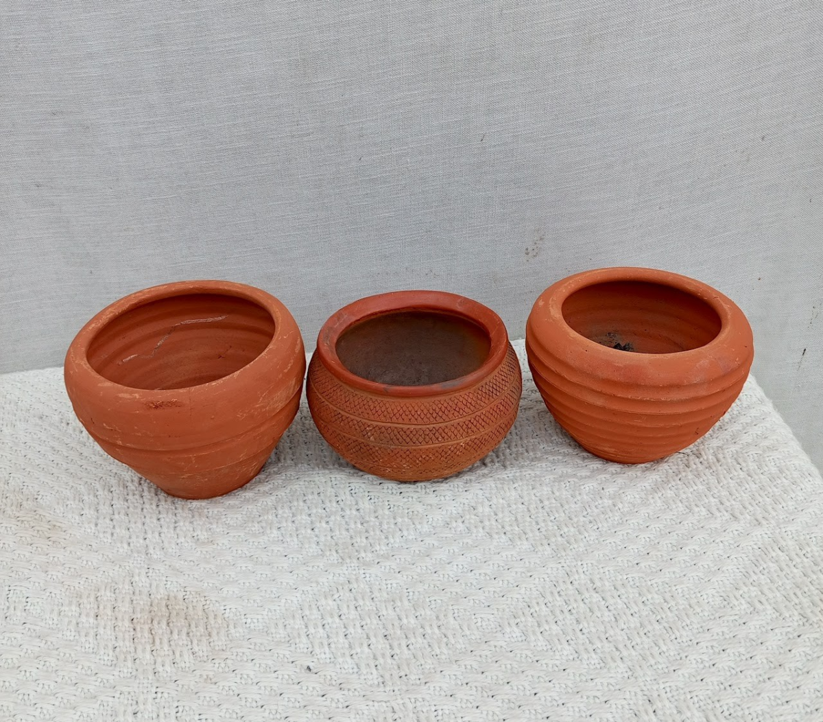 plants pot Plant pot