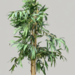 Bamboo potted plant