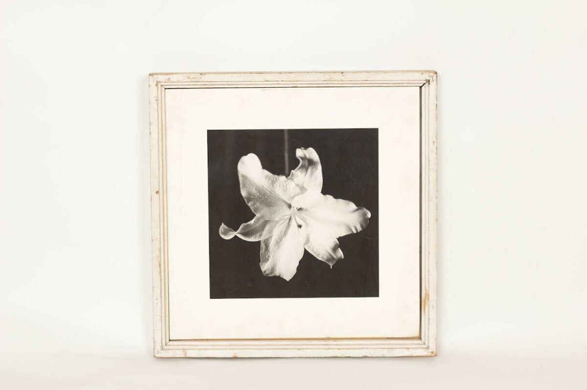 Black and White Flower Art Black & White flower art - Image 1