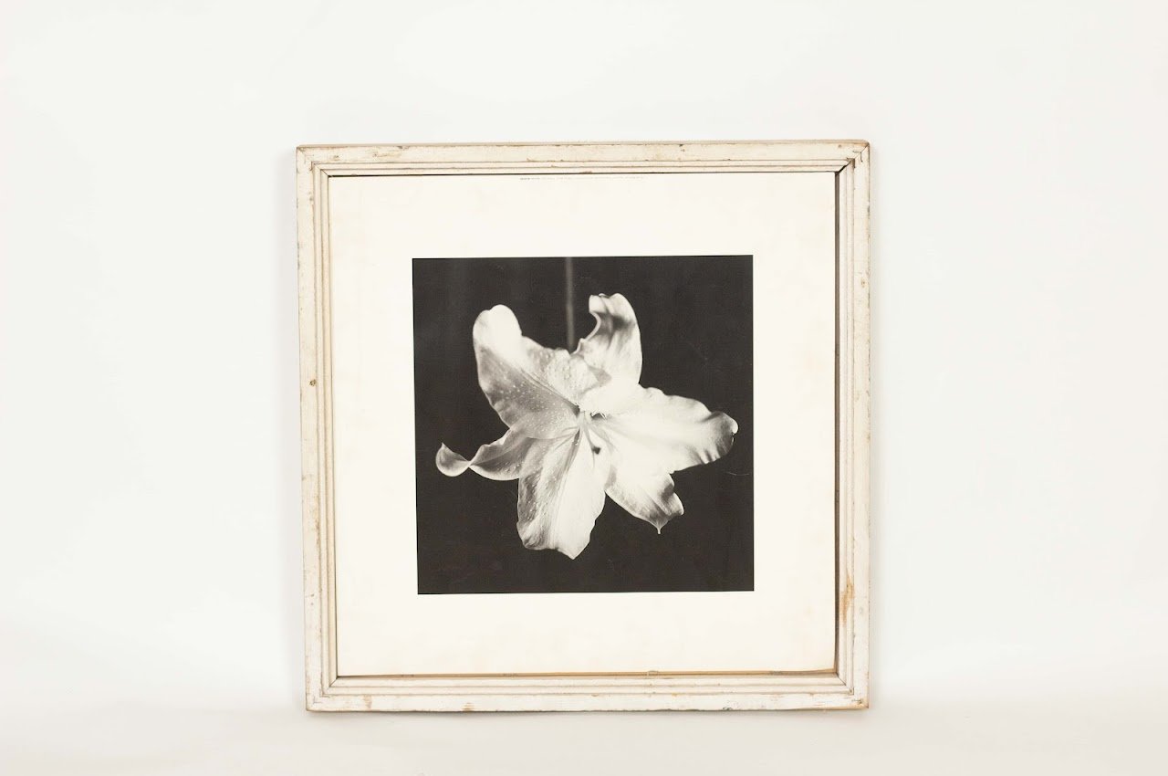 Black and White Flower Art Black & White flower art - Image 1