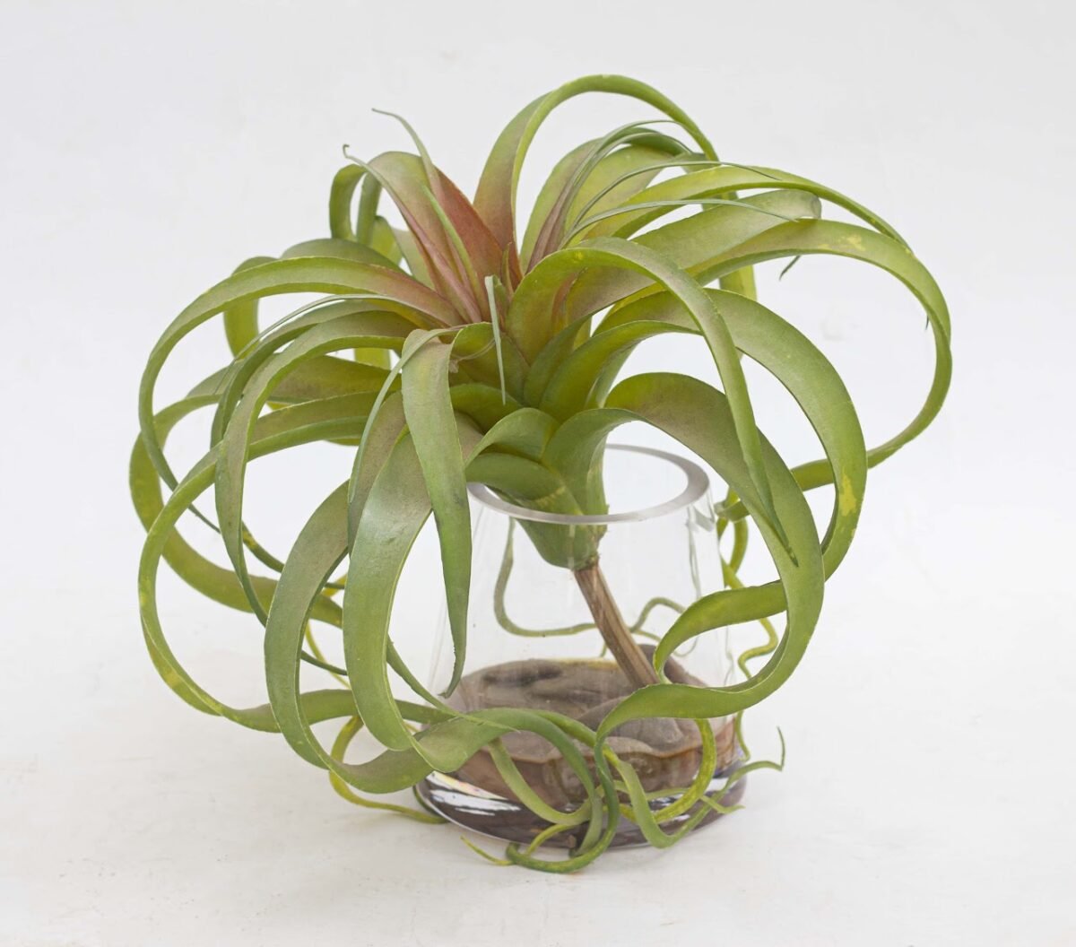 Clear glass vase Clear glass vase