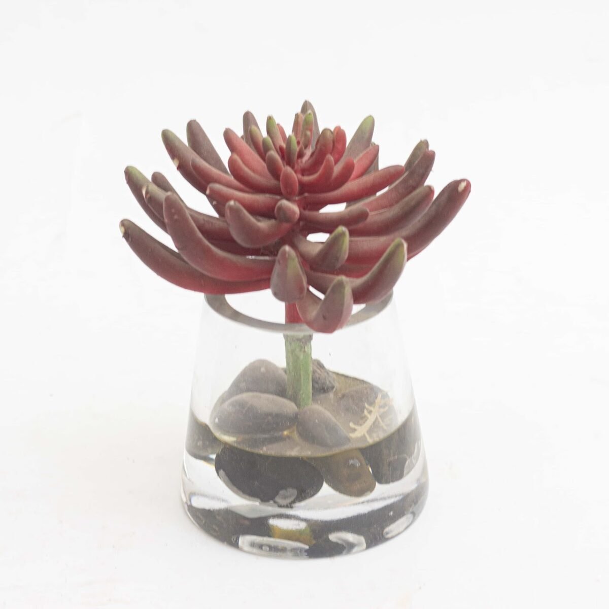 Flower Vase Flower Vase