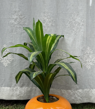 Tropical plant vase