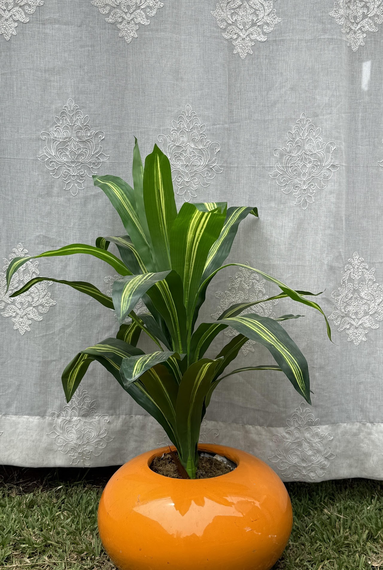 Tropical plant vase Tropical plant vase