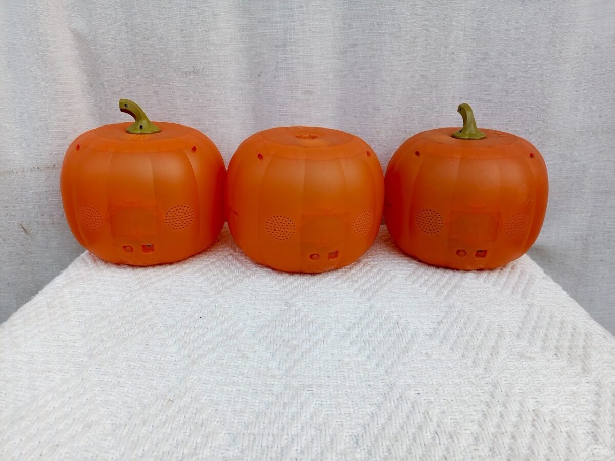 Talking pumpkin
