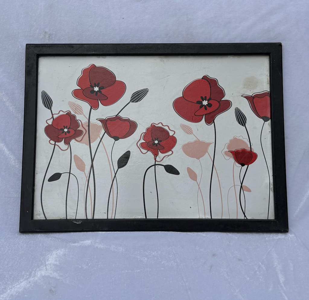 Graphic Poppy Print.