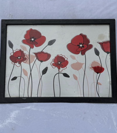 Graphic Poppy Print.