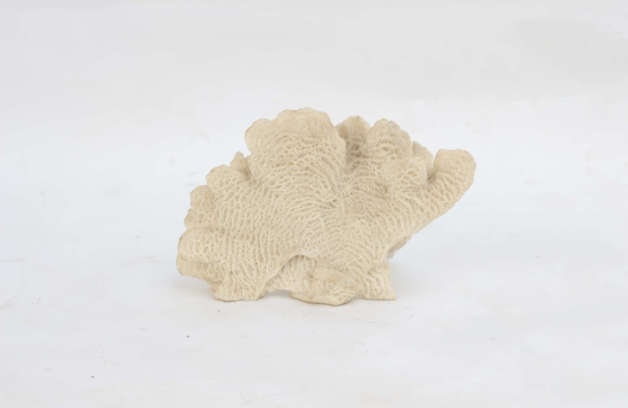 Artificial faux white coral Artificial faux white coral - Image 1