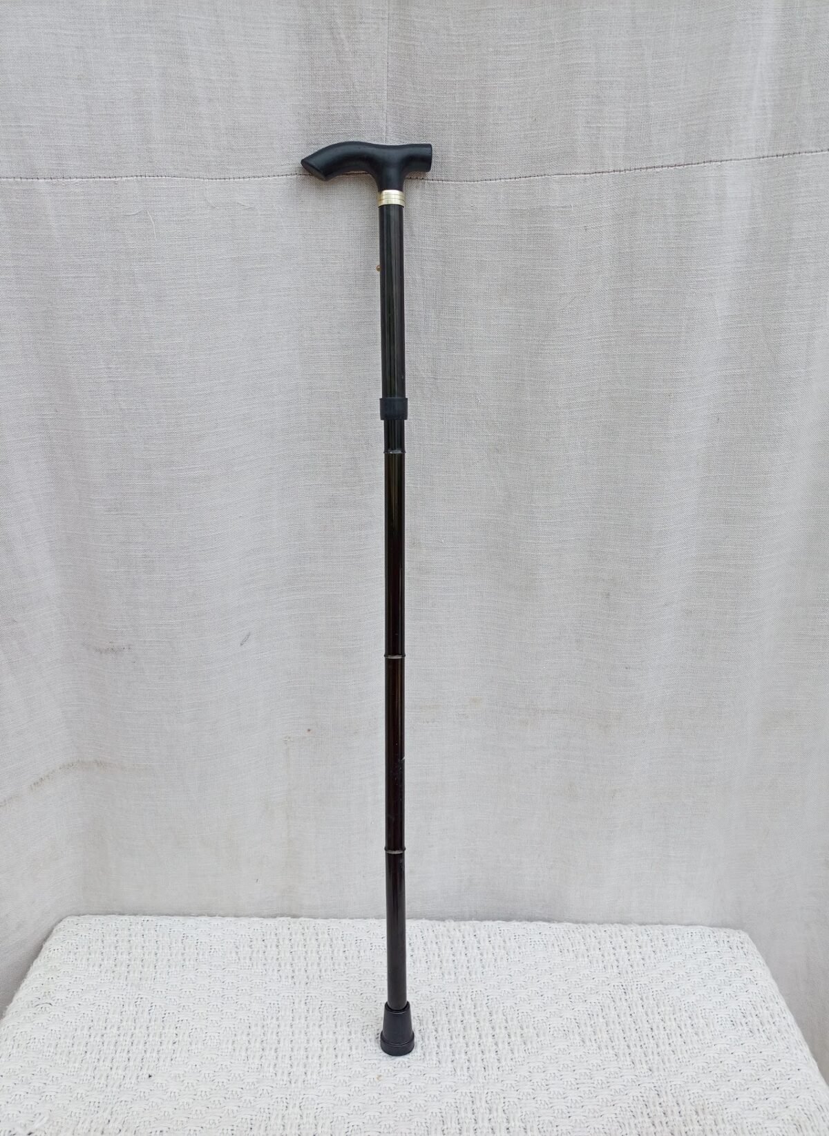 Black Walking stick Black Walking Stick - Image 1