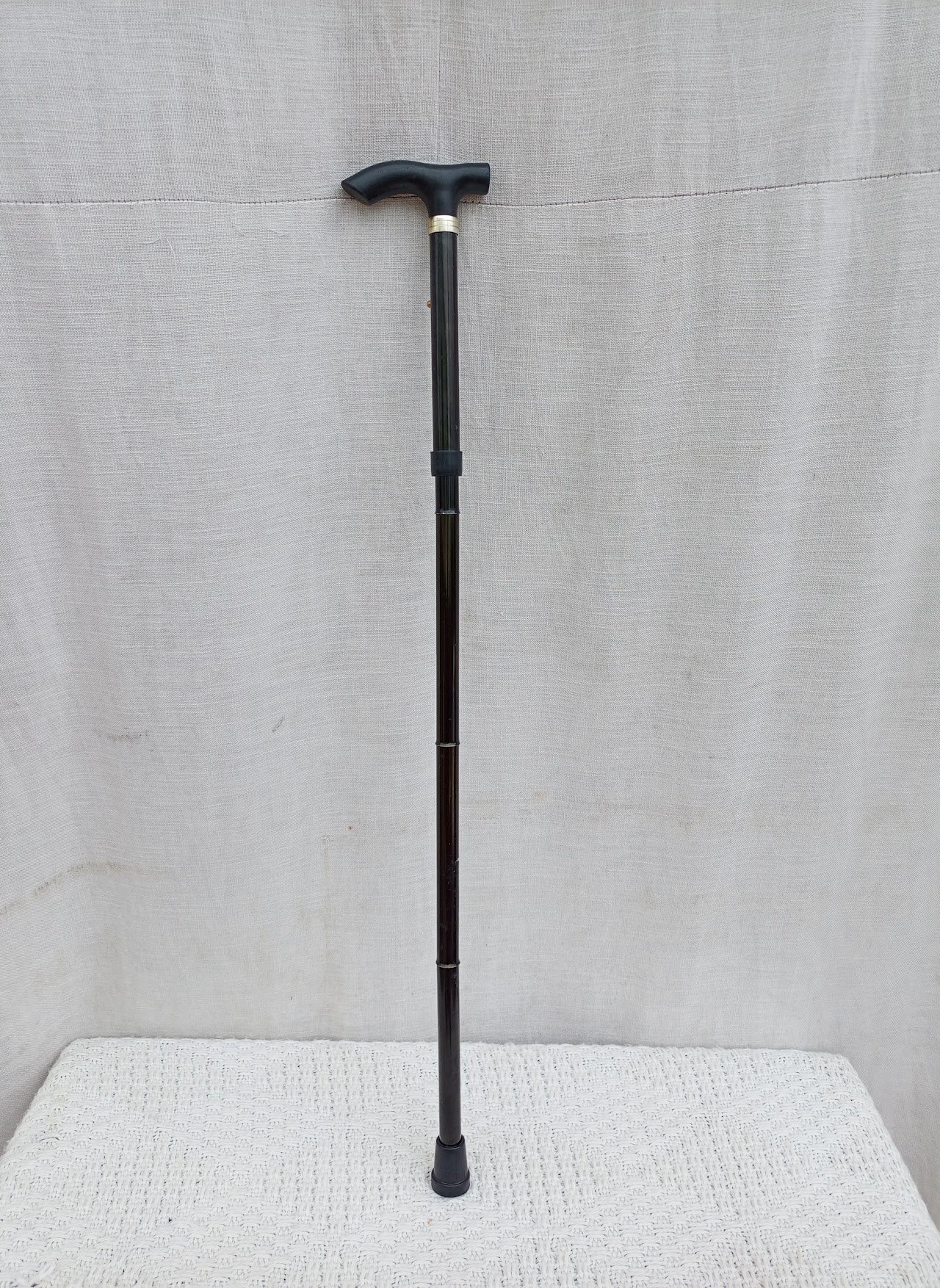 Black Walking stick Black Walking stick - Image 1