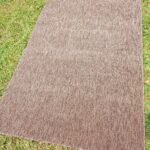Brown area rug
