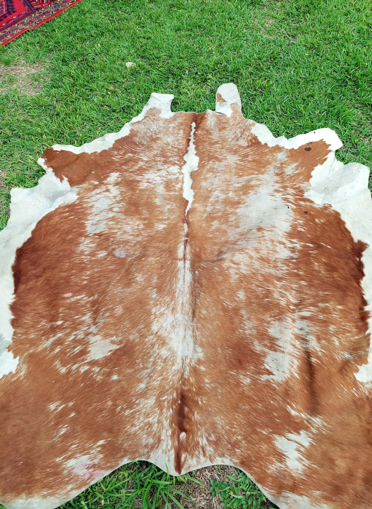Cowhide Rug Cowhide Rug - Image 1
