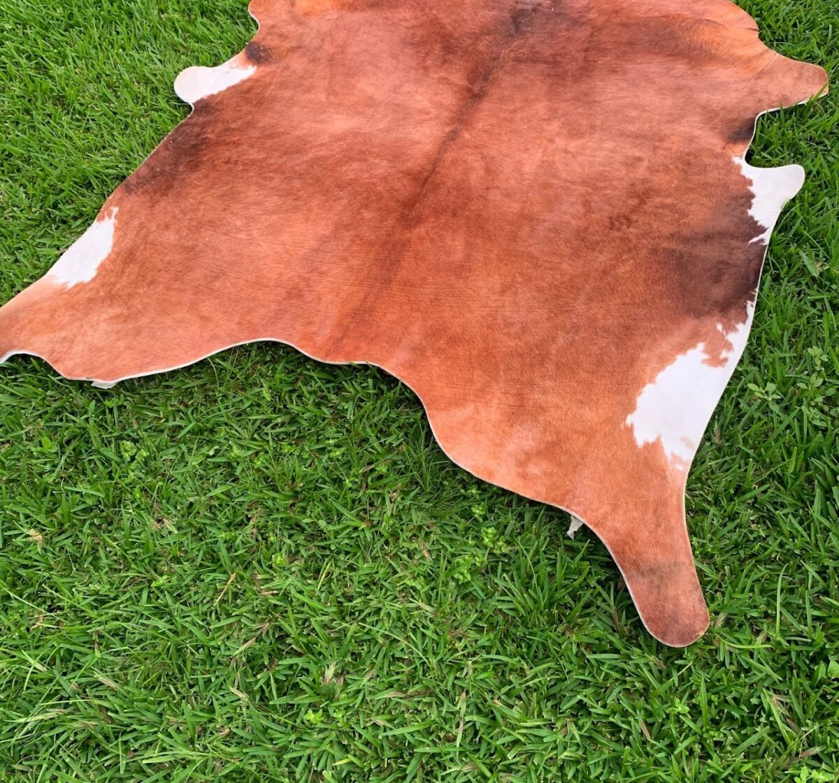 Cowskin Patterned Rug Cowskin Patterned Rug - Image 1
