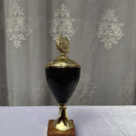 Elegant Black And Gold Cup Trophy
