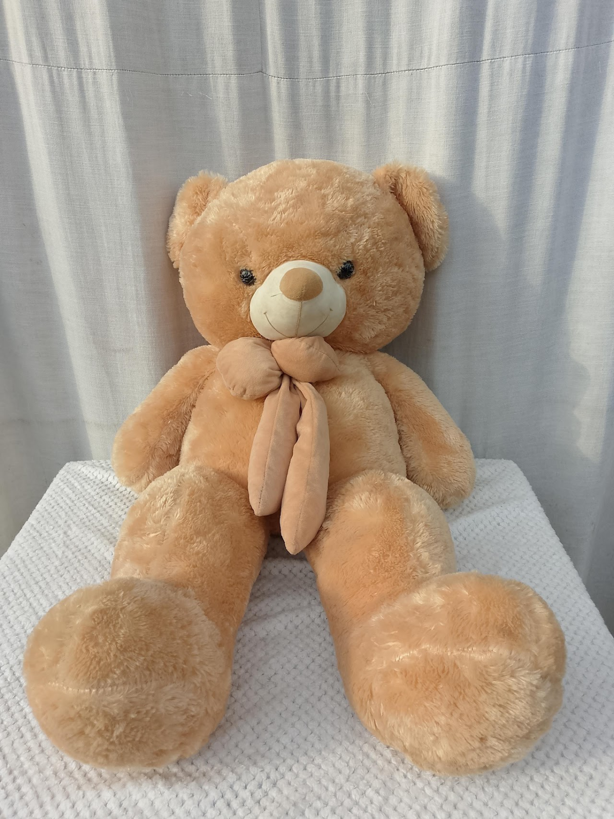 Fluffy Teddy Bear - Image 1