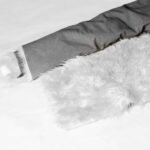 Fur Rug