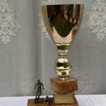 Golden Triumph Excellence Cup