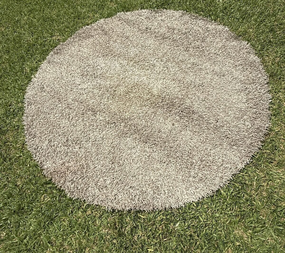 Grey Coren Rug Grey Coren Rug - Image 1