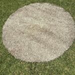Grey Coren Rug