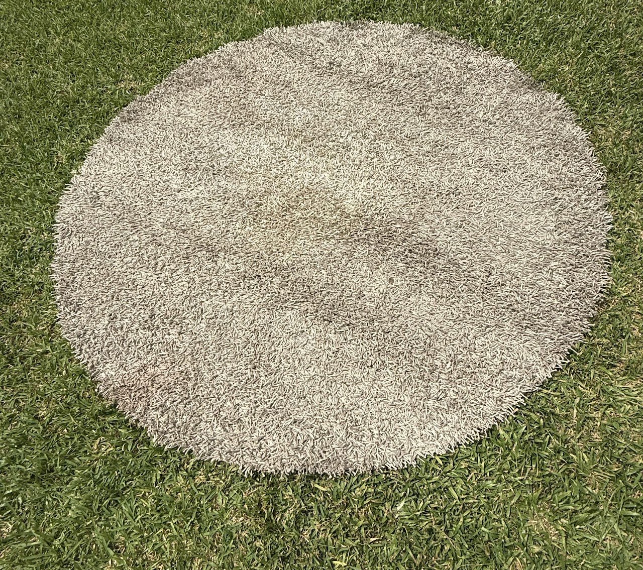 Grey Coren Rug Grey Coren Rug - Image 1