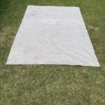 Off-White Area rug
