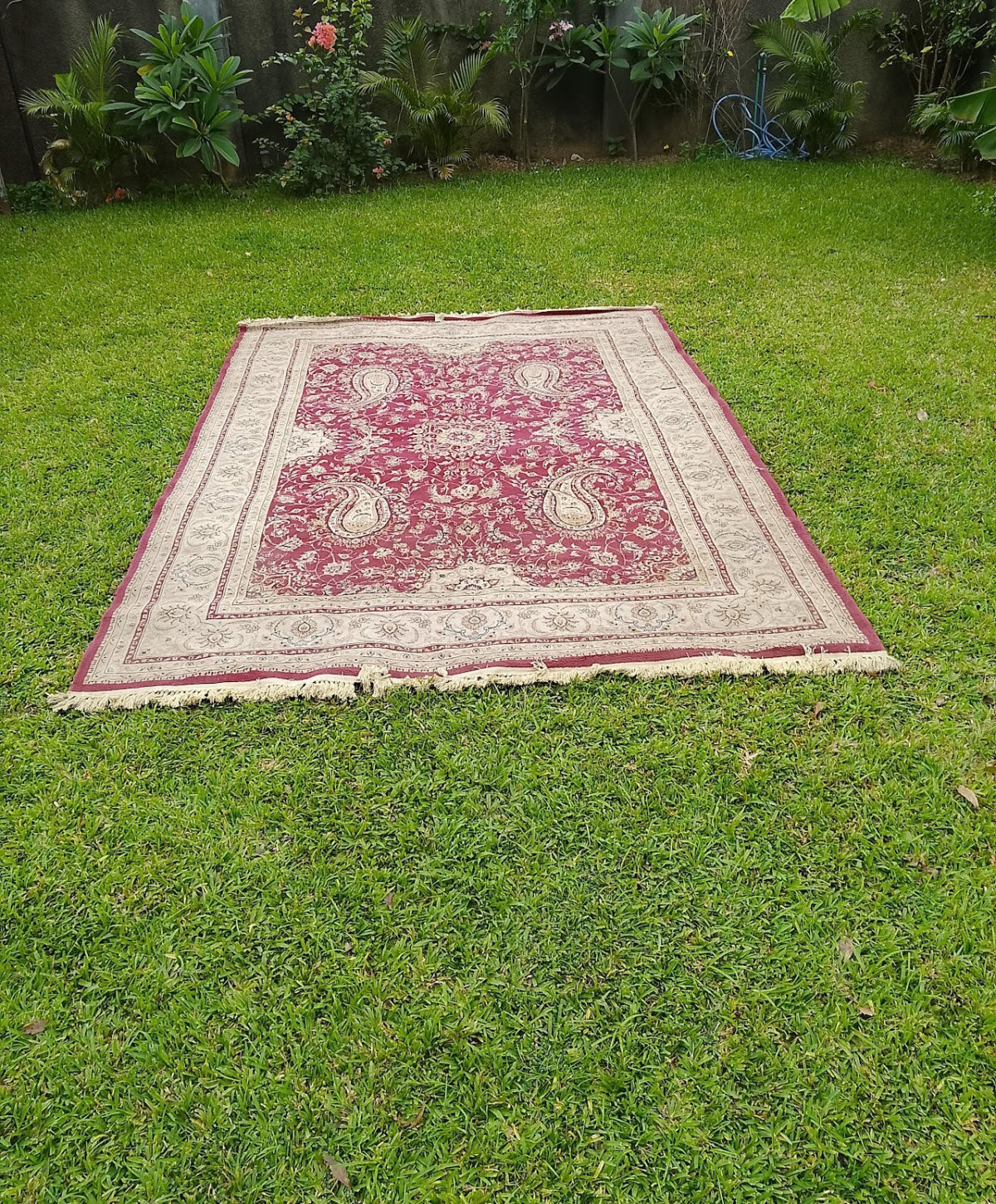 Burgundy Paisley Medallion Rug - Image 1