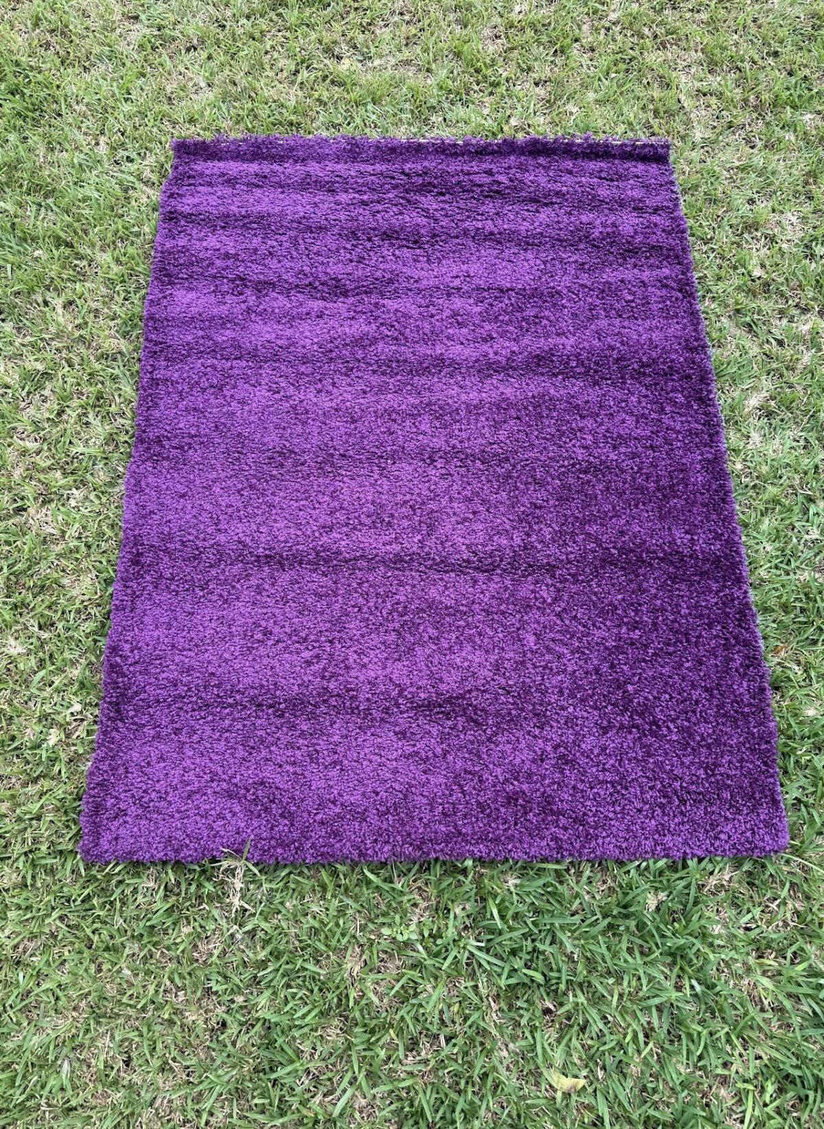 Purple Area Rug - Image 1