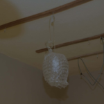 Royal Crystal Drop Chandelier