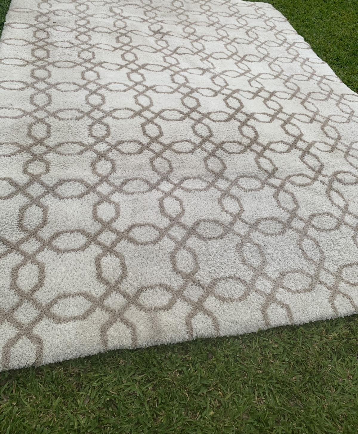Silky Shag White Area Rug - Image 2