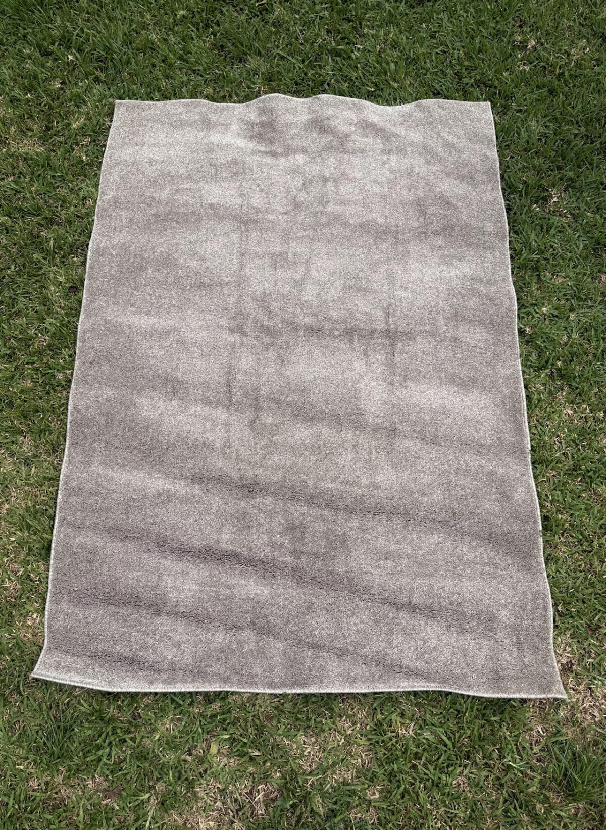 Tan Brown Area Rug - Image 1