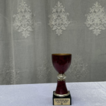 Royal Merit Achievement Cup