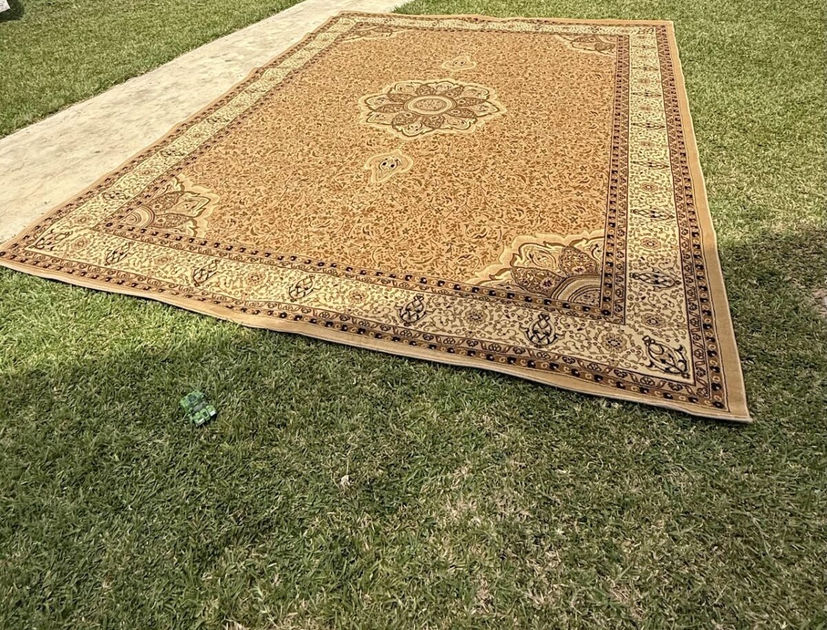 Traditional Medallion Rug Traditional Medallion Rug - Image 1