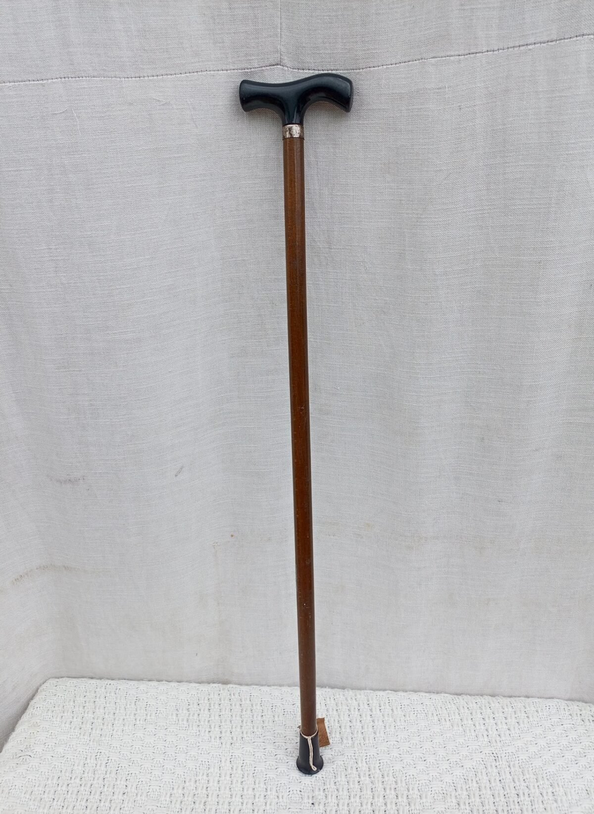 Walking stick Walking stick - Image 1