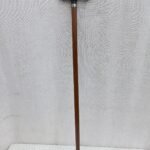 Walking stick