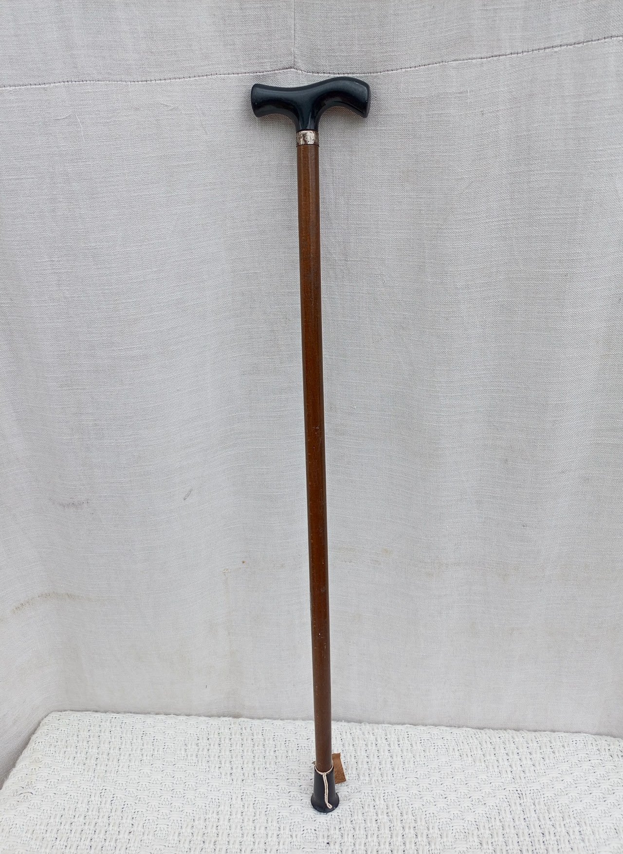Walking stick Walking stick - Image 1