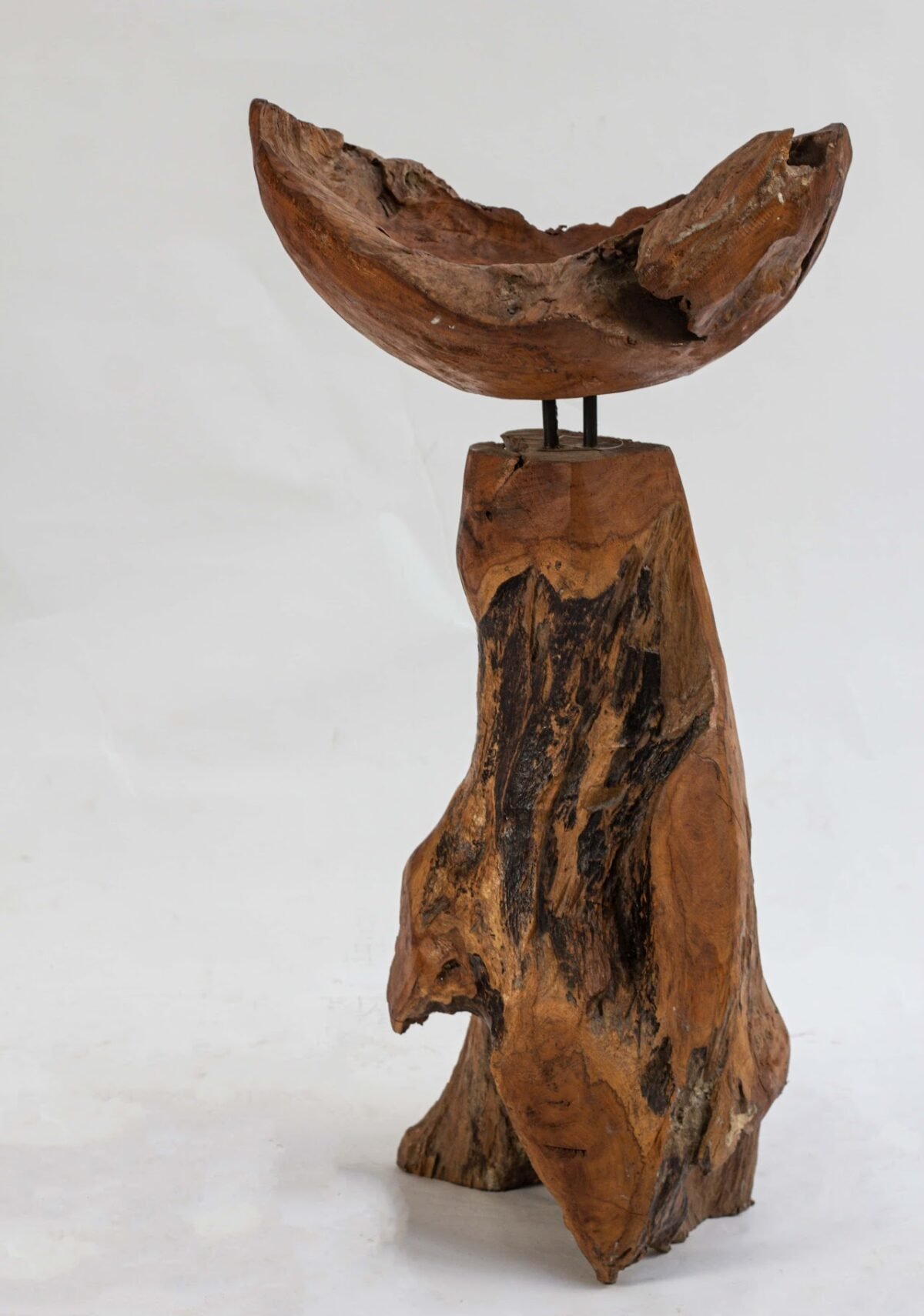 Wooden root trunk side table Wooden root trunk side table - Image 1