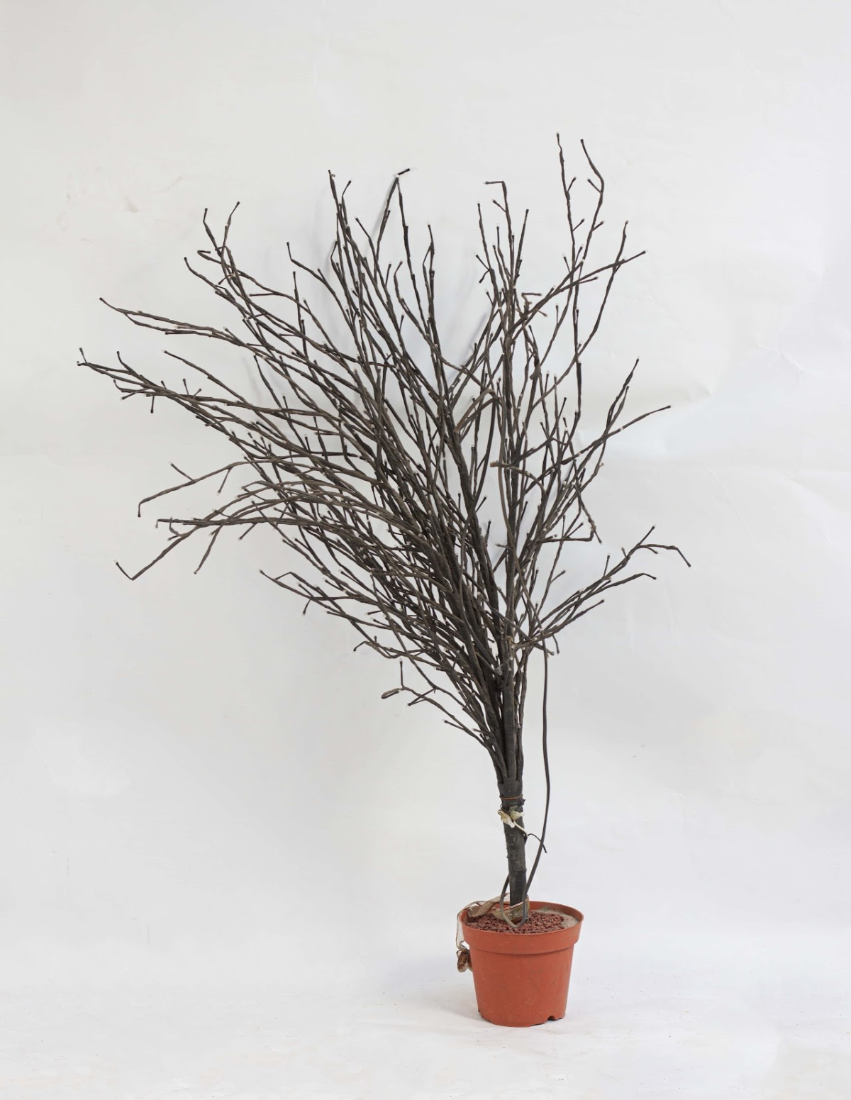 decorative tree with vase Decorative Tree with Vase - Image 1