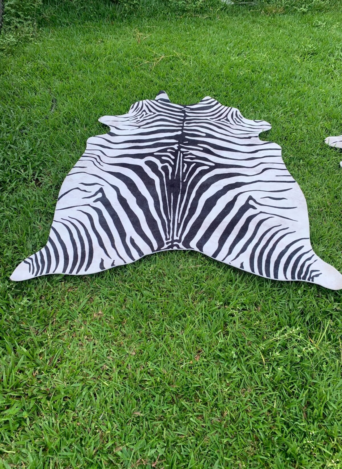 zebra print cowhide zebra print cowhide - Image 1
