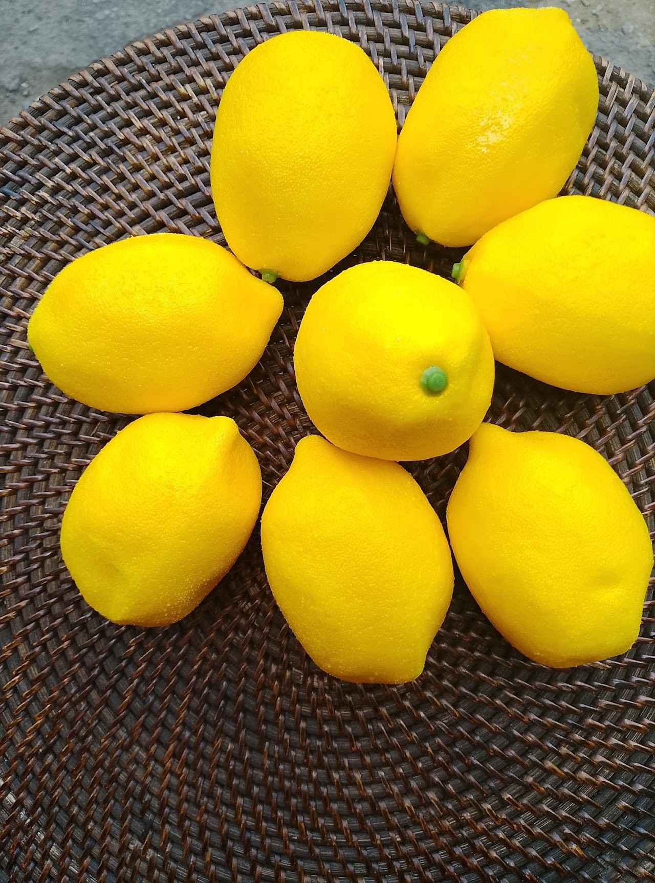 Artificial Lemons Artificial Lemons - Image 1