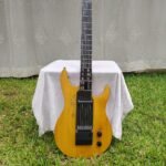 Digital Teaching Guitar