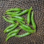 Fake Green Chili Peppers
