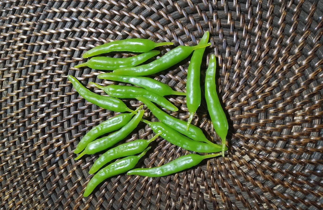 Fake Green Chili Peppers Fake Green Chili Peppers - Image 1