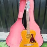 Brown Acoustic Guitar
